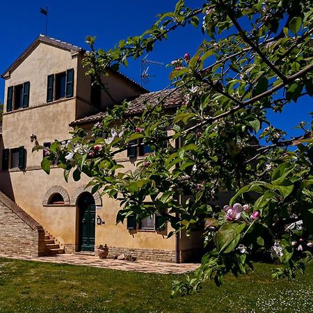 I Ciliegi Bed & Breakfast Osimo Exterior foto