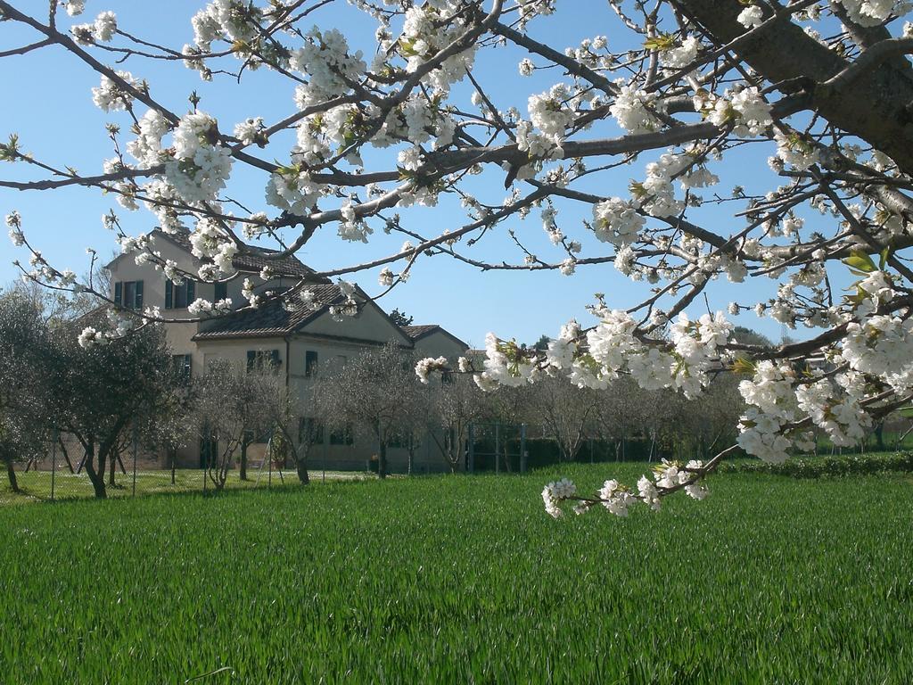 I Ciliegi Bed & Breakfast Osimo Exterior foto