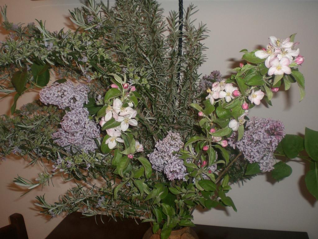I Ciliegi Bed & Breakfast Osimo Exterior foto