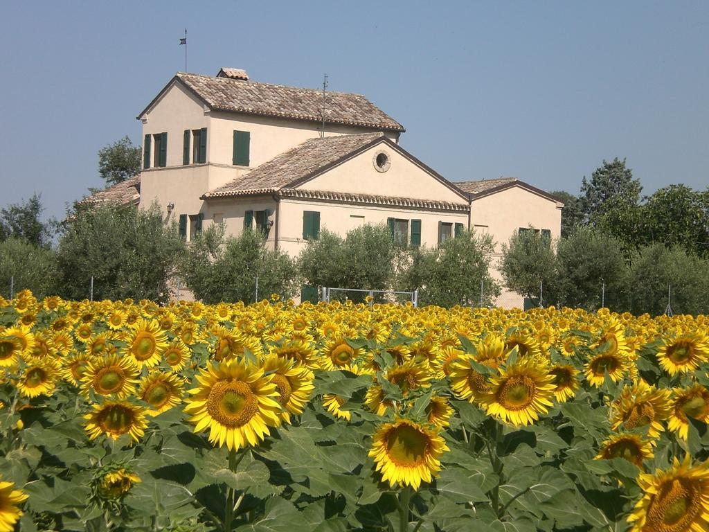I Ciliegi Bed & Breakfast Osimo Exterior foto