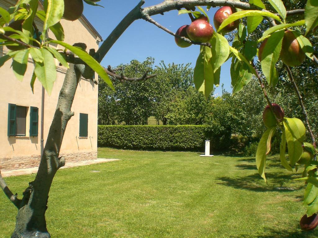 I Ciliegi Bed & Breakfast Osimo Exterior foto