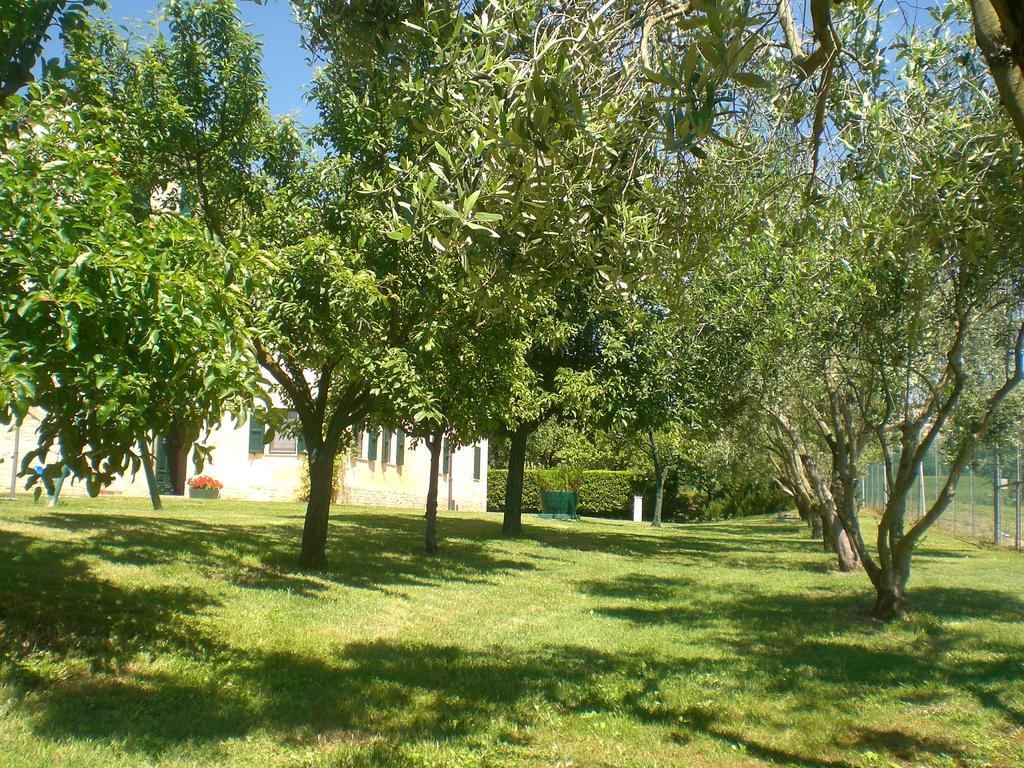 I Ciliegi Bed & Breakfast Osimo Exterior foto