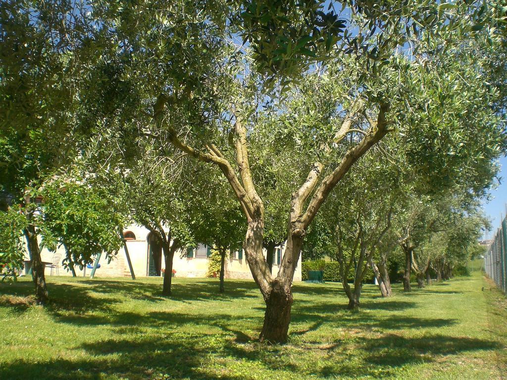I Ciliegi Bed & Breakfast Osimo Exterior foto
