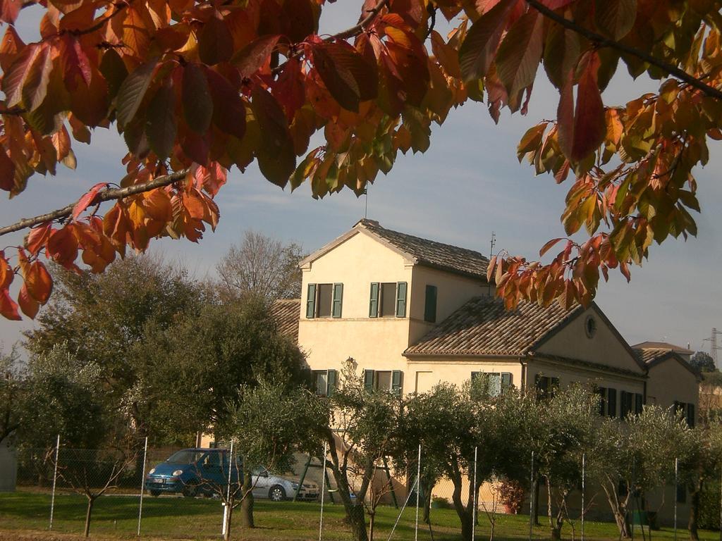 I Ciliegi Bed & Breakfast Osimo Exterior foto