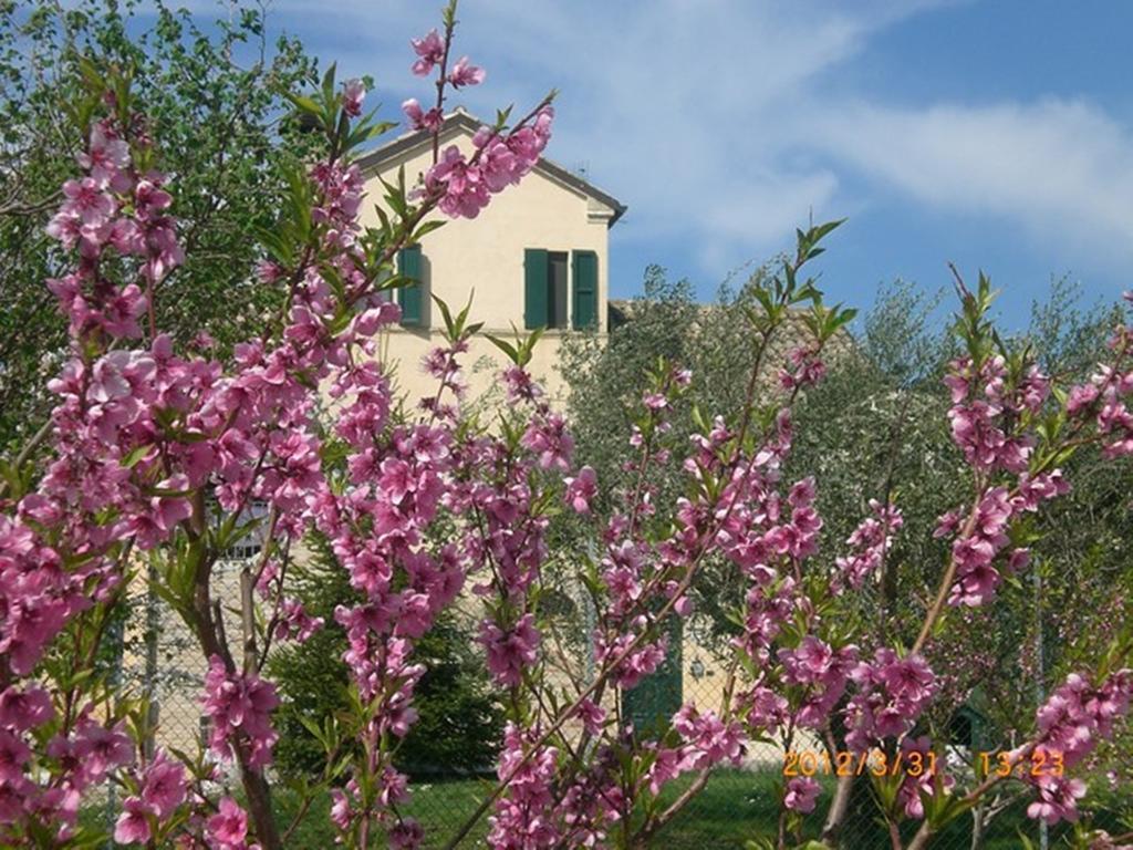 I Ciliegi Bed & Breakfast Osimo Exterior foto