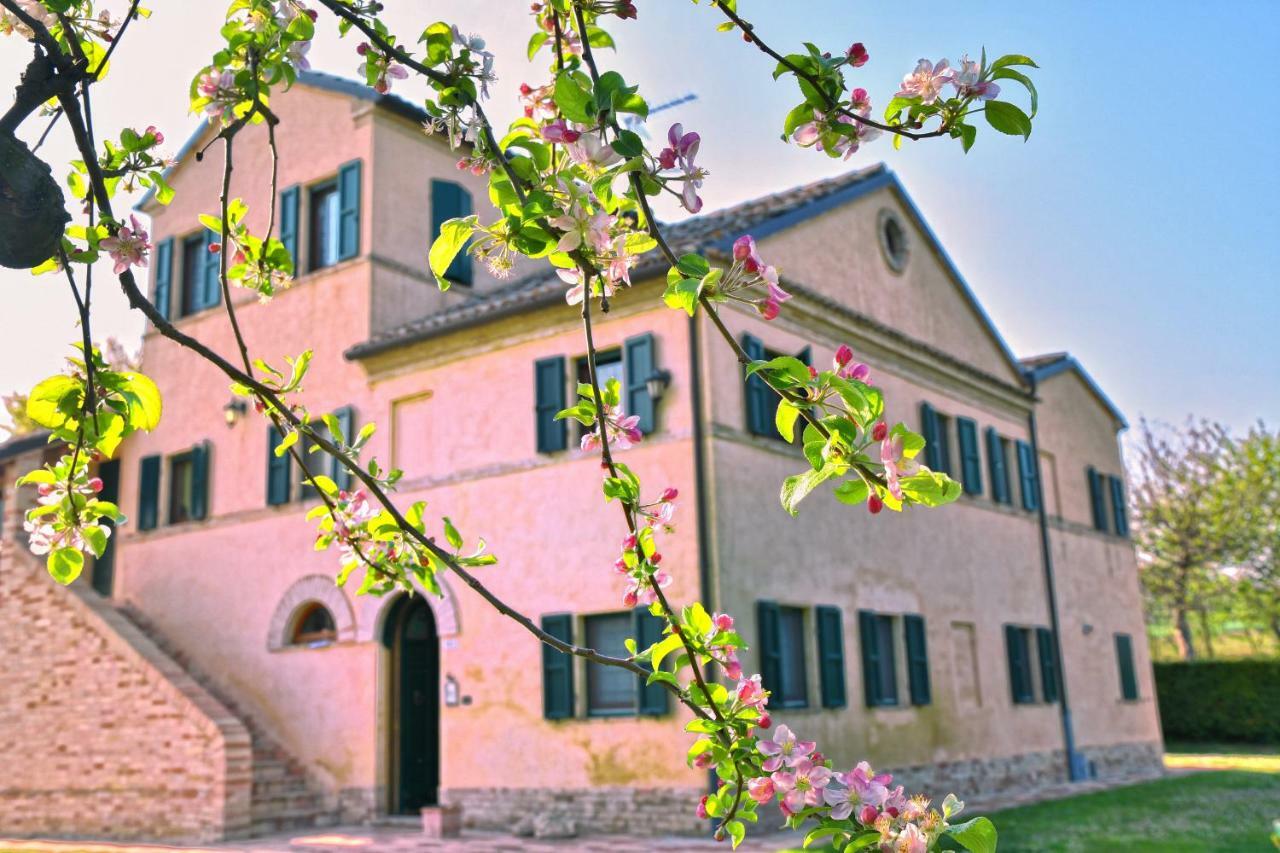 I Ciliegi Bed & Breakfast Osimo Exterior foto