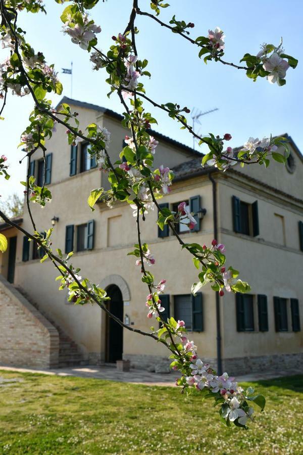 I Ciliegi Bed & Breakfast Osimo Exterior foto