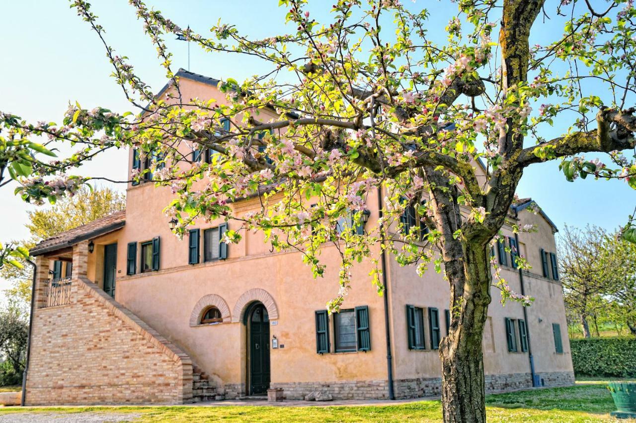 I Ciliegi Bed & Breakfast Osimo Exterior foto
