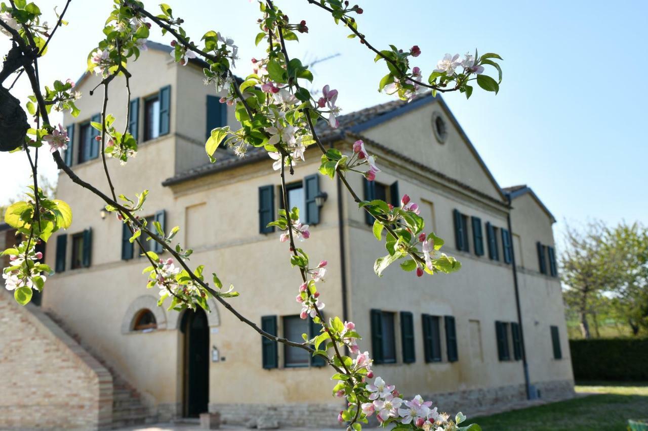 I Ciliegi Bed & Breakfast Osimo Exterior foto